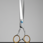 Ciseaux Barber Acier Inoxydable Poli