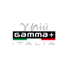 Gamma+